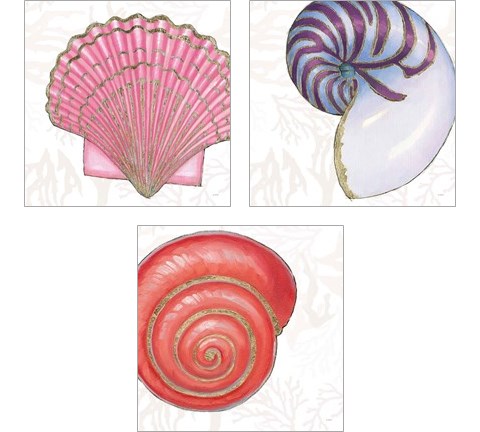 Shimmering Shells 3 Piece Art Print Set by James Wiens