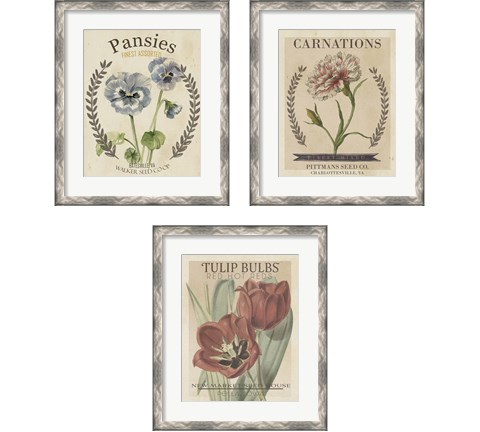 Vintage Seed Packets 3 Piece Framed Art Print Set by Studio W