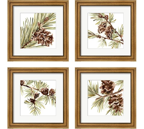 Simple Pine Cone 4 Piece Framed Art Print Set by June Erica Vess