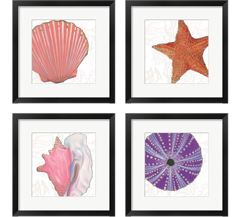 Shimmering Shells 4 Piece Framed Art Print Set by James Wiens