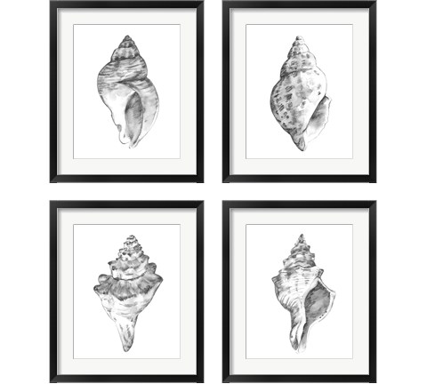 Quiet Conchvvvv 4 Piece Framed Art Print Set by Emma Caroline