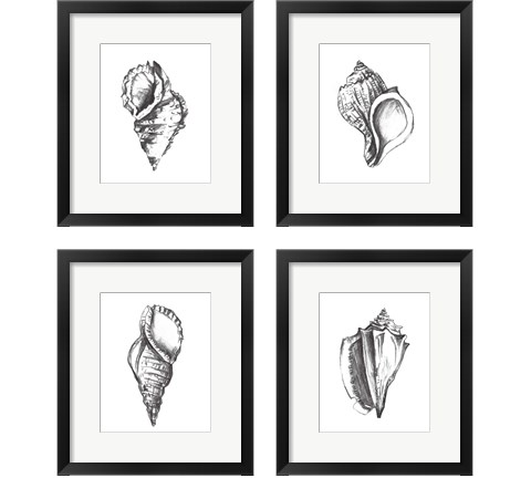 Seashell Study 4 Piece Framed Art Print Set by Melissa Wang