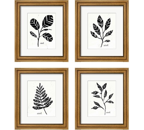 Botanical Sketches 4 Piece Framed Art Print Set by Anne Tavoletti