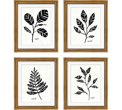 Botanical Sketches 4 Piece Framed Art Print Set by Anne Tavoletti