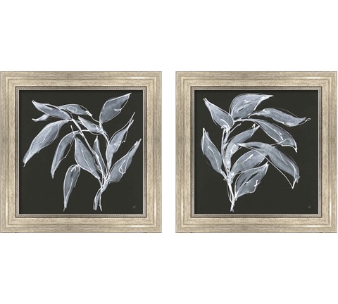 Branch  2 Piece Framed Art Print Set by Chris Paschke