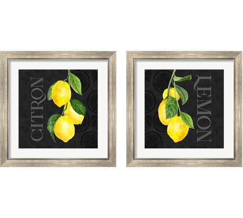 Live with Zest 2 Piece Framed Art Print Set by Tara Reed