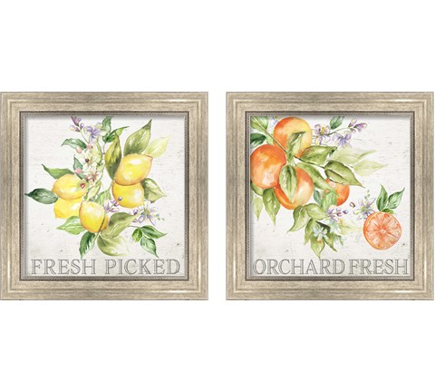 Lemon Grove 2 Piece Framed Art Print Set by Tre Sorelle Studios