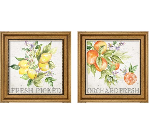 Lemon Grove 2 Piece Framed Art Print Set by Tre Sorelle Studios