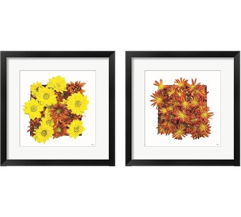 Floral Pop 2 Piece Framed Art Print Set by Donnie Quillen