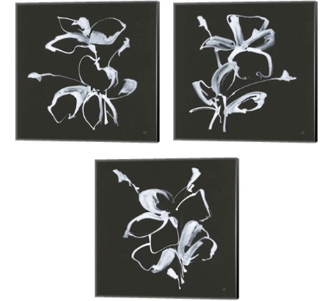 Wildflowers 3 Piece Canvas Print Set by Chris Paschke