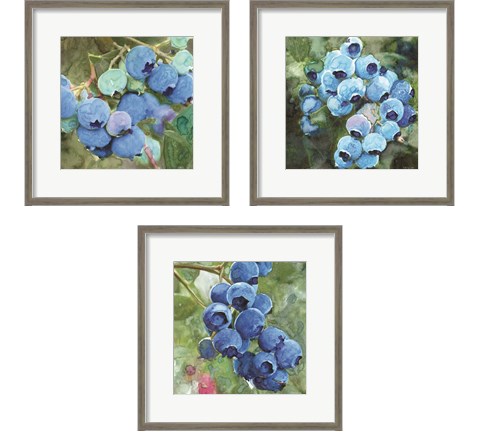 Blueberries  3 Piece Framed Art Print Set by Stellar Design Studio