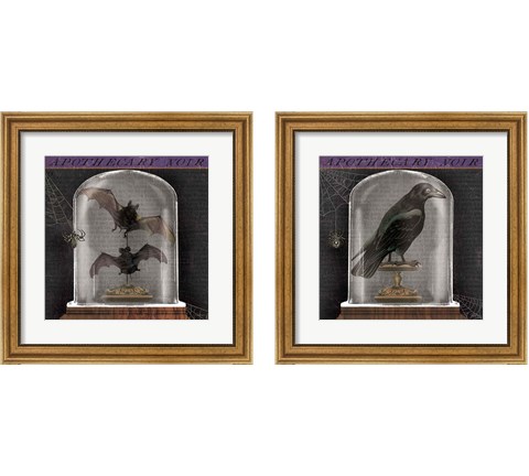 Apothecary Noir 2 Piece Framed Art Print Set by Sue Schlabach