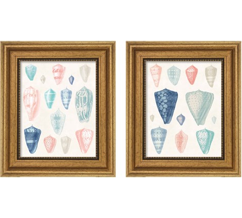 Colorful Shell Assortment Coral Cove 2 Piece Framed Art Print Set by Wild Apple Portfolio