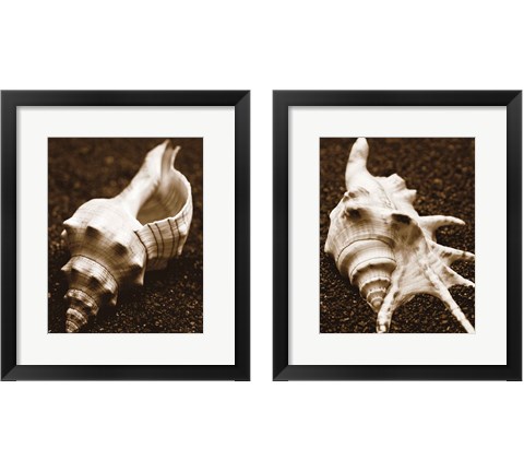 Sea Gallery 2 Piece Framed Art Print Set by Boyce Watt