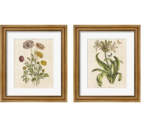 Herbal Botany 2 Piece Framed Art Print Set by Wild Apple Portfolio