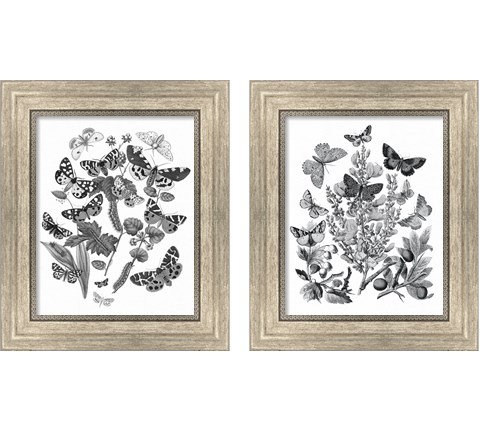 Butterfly Bouquet 2 Piece Framed Art Print Set by Wild Apple Portfolio