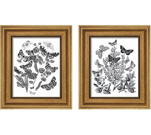 Butterfly Bouquet 2 Piece Framed Art Print Set by Wild Apple Portfolio