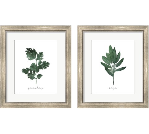 Herbs 2 Piece Framed Art Print Set by Jo Moulton