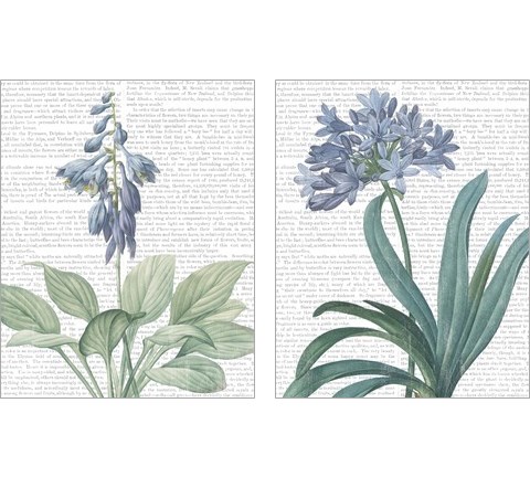 Summer Botanicals 2 Piece Art Print Set by Wild Apple Portfolio