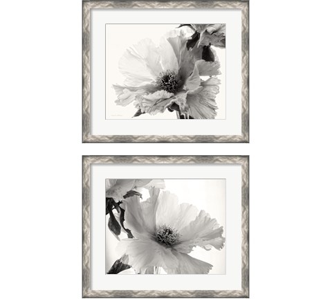 Translucent Peony BW 2 Piece Framed Art Print Set by Debra Van Swearingen