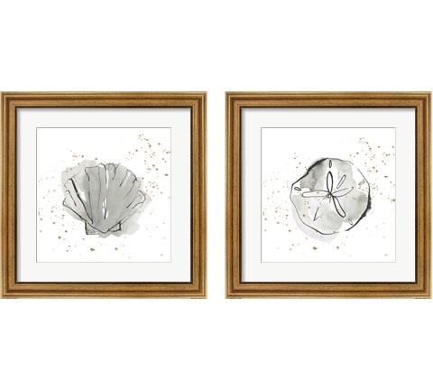 Sand Dollar & Sea Scallop 2 Piece Framed Art Print Set by Chris Paschke