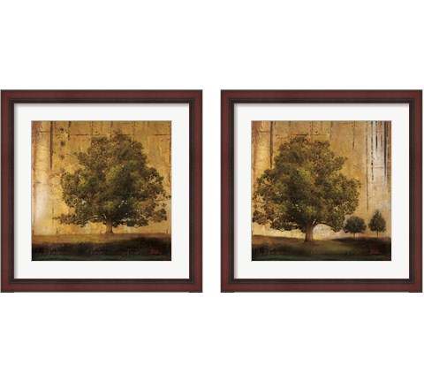 Aged Tree 2 Piece Framed Art Print Set by Patricia Pinto