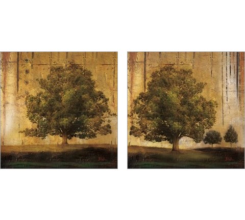 Aged Tree 2 Piece Art Print Set by Patricia Pinto