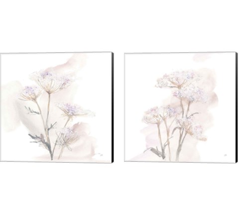 Queen Annes Lace 2 Piece Canvas Print Set by Chris Paschke