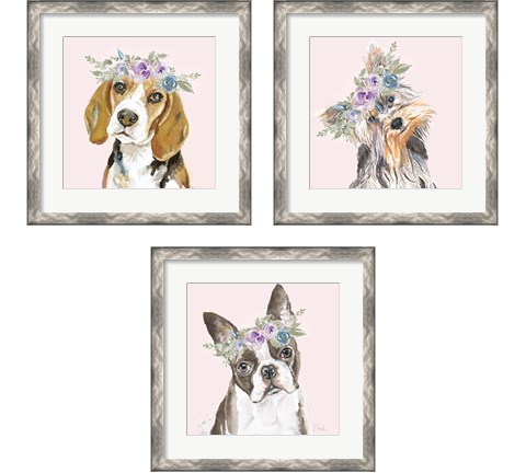 Flower Crown Pet 3 Piece Framed Art Print Set by Patricia Pinto