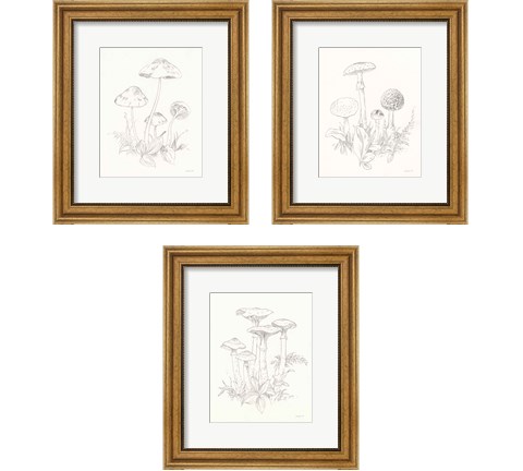 Nature Sketchbook 3 Piece Framed Art Print Set by Danhui Nai