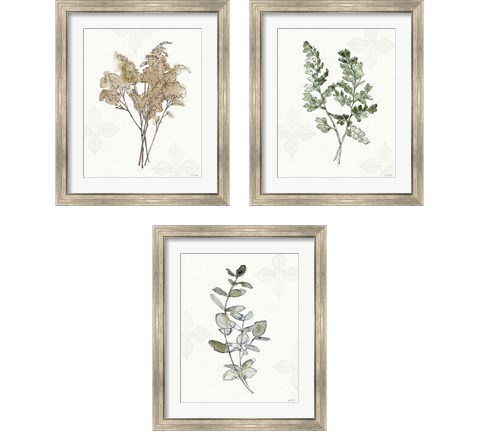 Fresh Farmhouse 3 Piece Framed Art Print Set by Anne Tavoletti