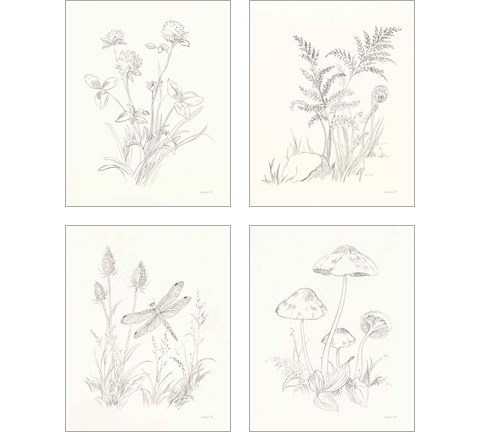 Nature Sketchbook 4 Piece Art Print Set by Danhui Nai