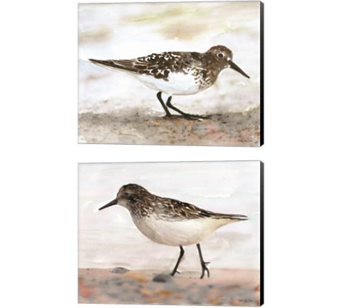 Sandpiper 2 Piece Canvas Print Set by Stellar Design Studio