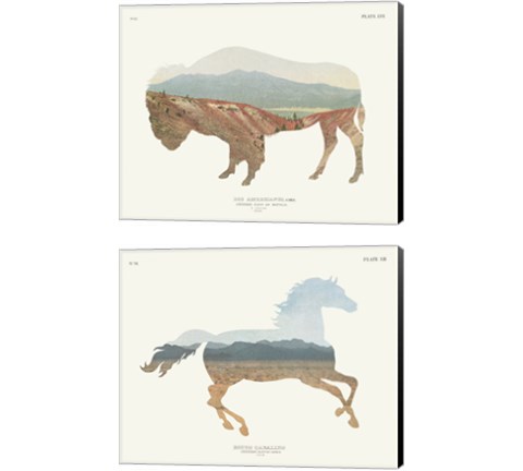 American Southwest 2 Piece Canvas Print Set by Wild Apple Portfolio