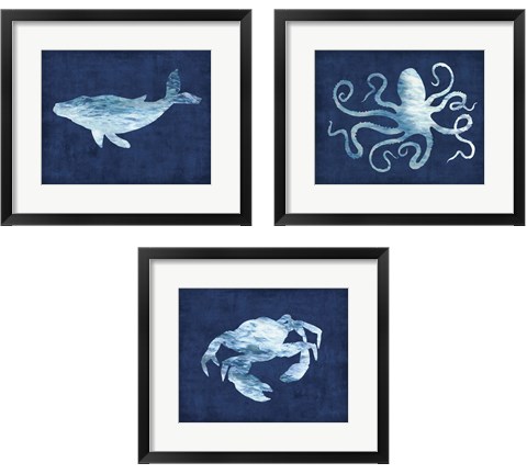 Sealife on Blue 3 Piece Framed Art Print Set by Edward Selkirk