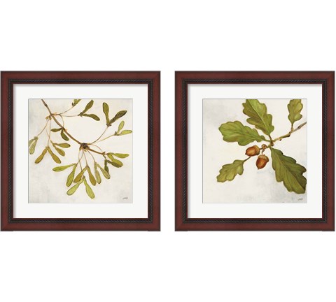 Tree Branch 2 Piece Framed Art Print Set by Julia Purinton