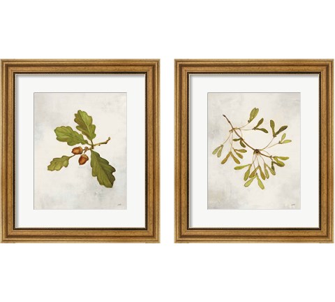 Tree Branch 2 Piece Framed Art Print Set by Julia Purinton