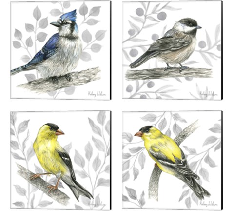 Backyard Birds 4 Piece Canvas Print Set by Kelsey Wilson