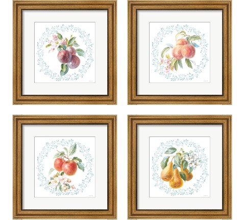 Blooming Orchard 4 Piece Framed Art Print Set by Danhui Nai