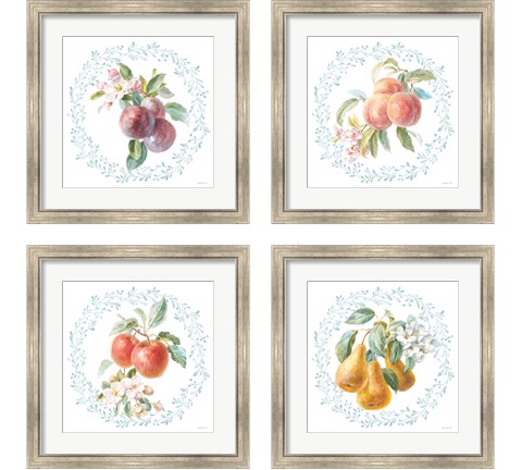 Blooming Orchard 4 Piece Framed Art Print Set by Danhui Nai