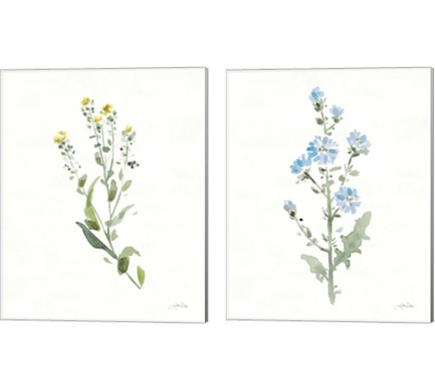 Flowers of the Wild 2 Piece Canvas Print Set by Katrina Pete