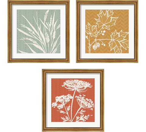 Autumn Tones 3 Piece Framed Art Print Set by Anne Tavoletti