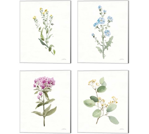 Flowers of the Wild 4 Piece Canvas Print Set by Katrina Pete