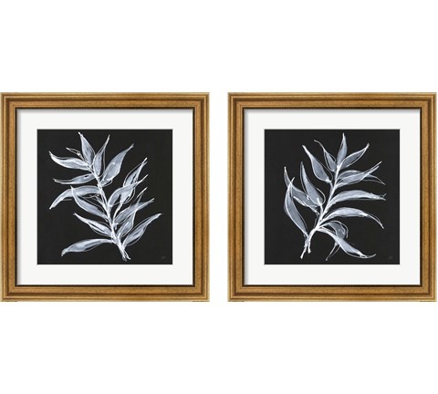 White Fern 2 Piece Framed Art Print Set by Chris Paschke