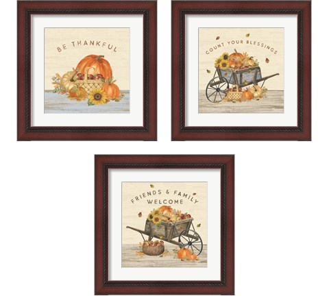 Harvest Season 3 Piece Framed Art Print Set by Tara Reed