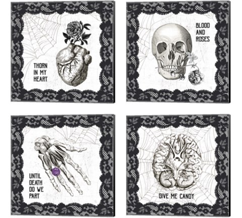 Arsenic and Anatomy 4 Piece Canvas Print Set by Sue Schlabach