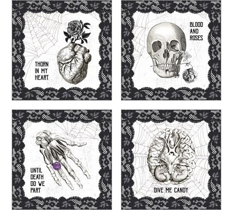 Arsenic and Anatomy 4 Piece Art Print Set by Sue Schlabach