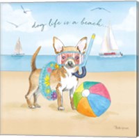 Framed 'Summer Paws II' border=