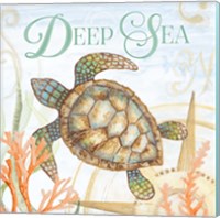 Framed 'Deep Sea' border=