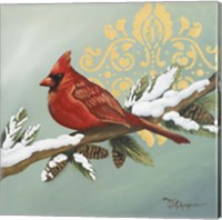 Framed 'Winter Red Bird II' border=